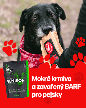 mokre_krmivo_pro_psy